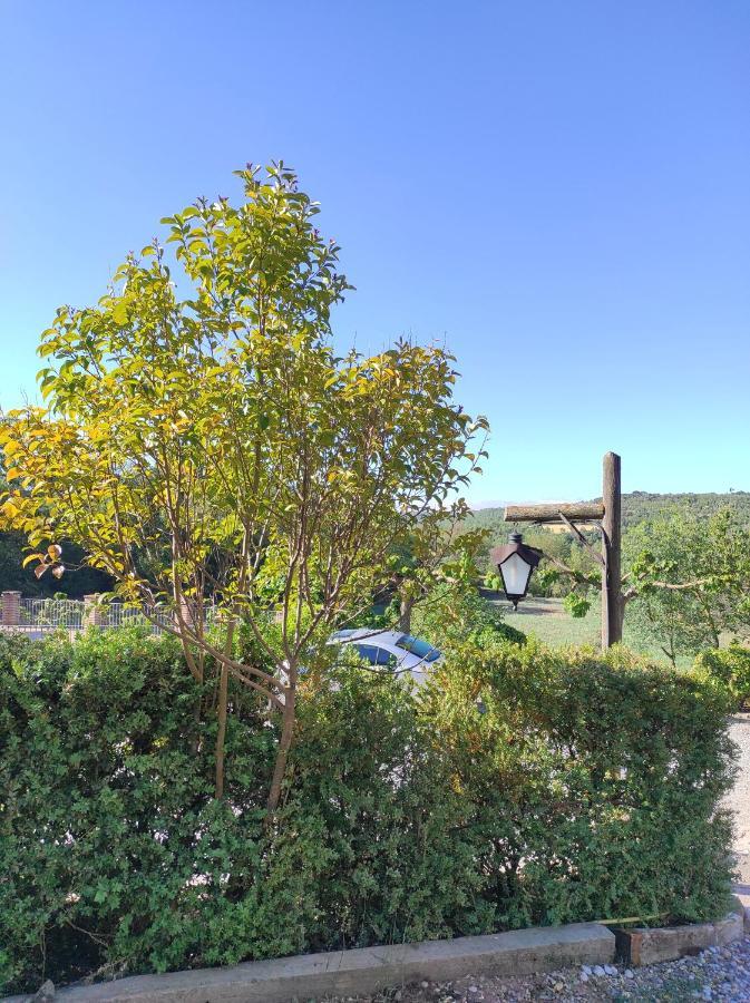 Allotjament Rural Сольсона Экстерьер фото